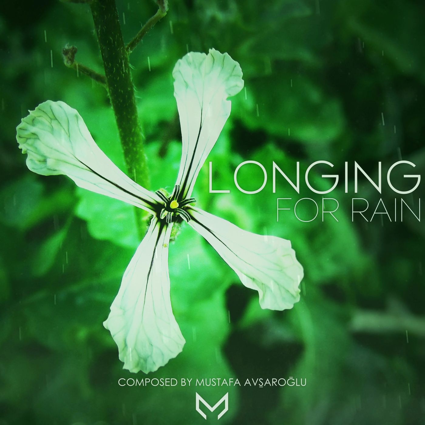 Longing download. Emotional Piano Music: i've never stopped looking for you Mustafa Avşaroğlu.